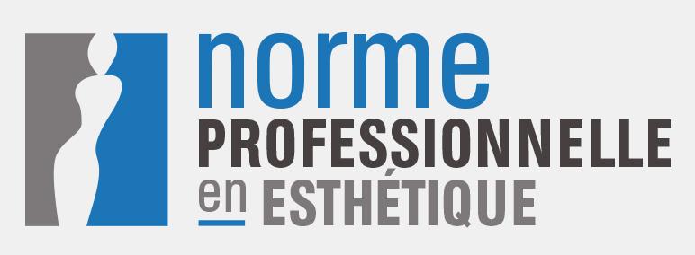 Norme professionnelle